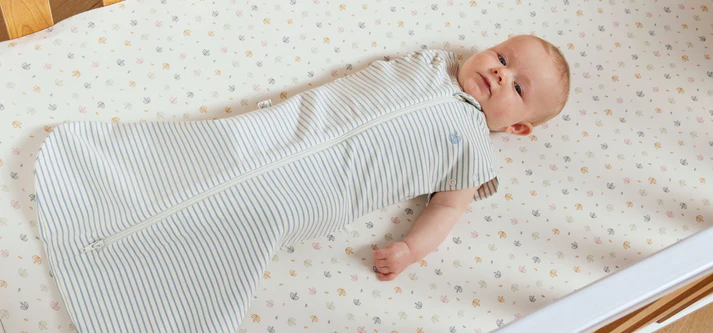 Loyalty Program Banner